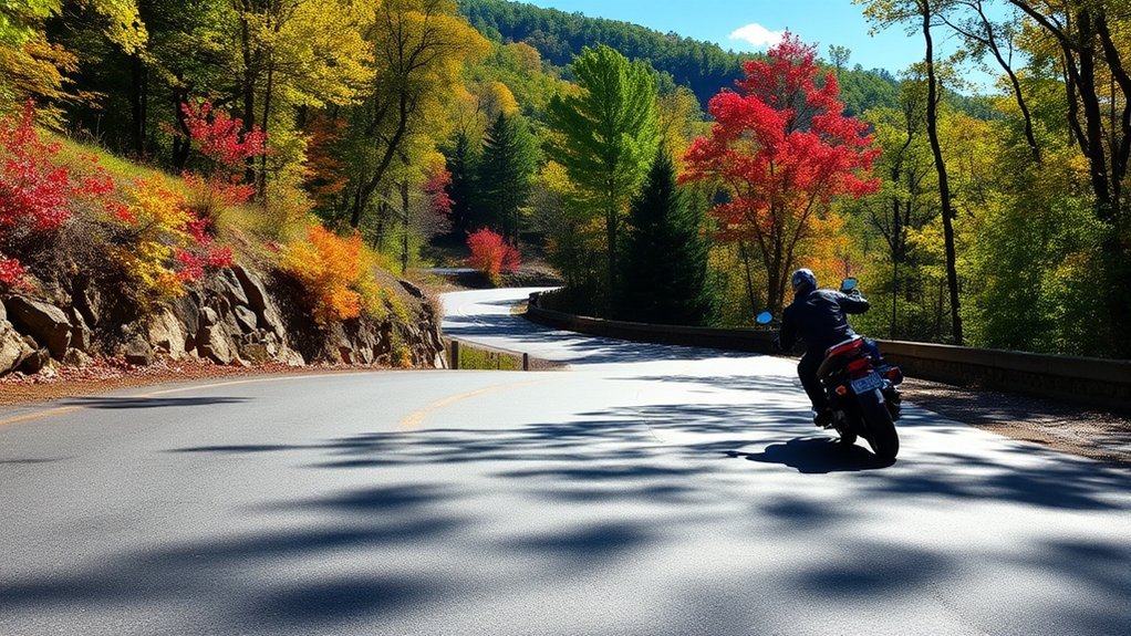 dragon tail riding tips