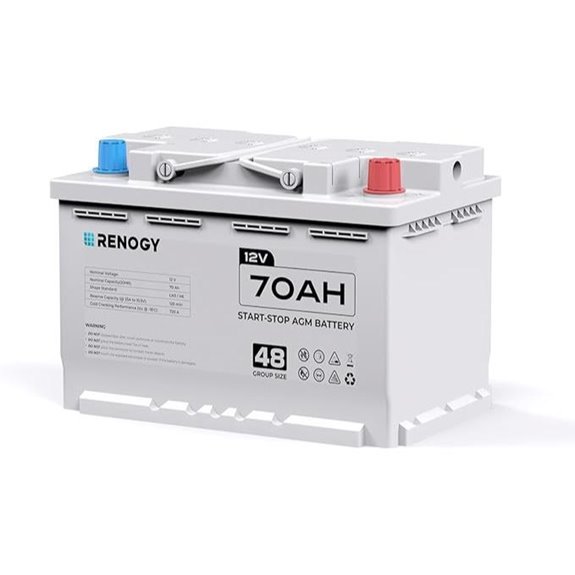 Renogy 12V 70Ah AGM Car Battery H6